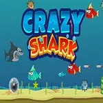 Podmorská scéna s farebnými rybami, žralokom, ponorkami a nápisom Crazy Shark na modrom pozadí