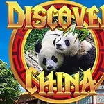 Dvaja pandy obklopené bambusovými listami s nápisom Discover China na modrom pozadí s čínskou architektúrou
