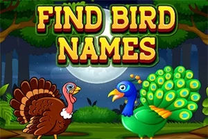 Dva kreslené vtáky, moriak a páv, stoja v lese pod nočnou oblohou s veľkým mesačným svitom a nad nimi je nadpis Find Bird Names
