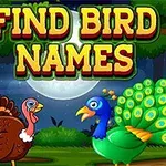 Dva kreslené vtáky, moriak a páv, stoja v lese pod nočnou oblohou s veľkým mesačným svitom a nad nimi je nadpis Find Bird Names