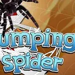 Pavúk lezie po hromade hracích kariet s výrazným nápisom Jumping Spider