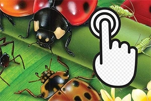 Lúčne chrobáky na zelenej tráve s ikonou ruky a prstom ukazujúcim na stlačenie