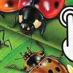 Lúčne chrobáky na zelenej tráve s ikonou ruky a prstom ukazujúcim na stlačenie